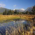 1123A The Cabinet Mountains 