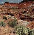 801A Red Rock Formations